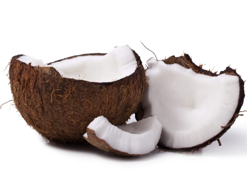 Coconut